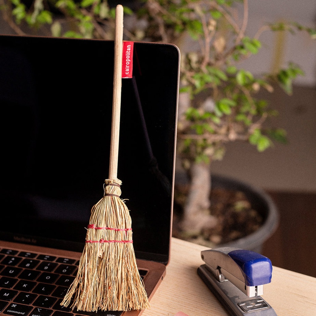 Broom Brush