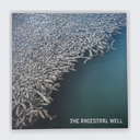 Ancestral Well: Pulse to Terrain