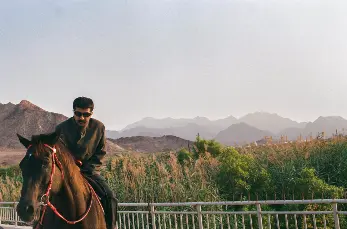 Mohammed Ahmed (Bebo) - Distant Wanderer محمد أحمد (بيبو) متجوّل بعيد 2026 