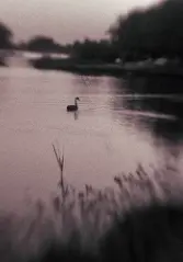 Moza Al Falasi - Love Lake, Dubai موزة الفلاسي بحيرة الحب، دبي 2024 