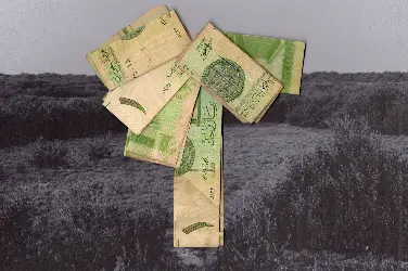 Redha Al Hammad - Palm Tree for my Grandmother, Tarout Mangroves رضا الحماد نخلة لجدّتي، أشجار القرم في تاروت 2026 