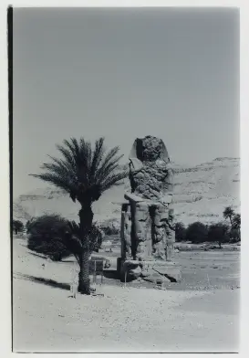 Sam Allison - Enduring Silence سام أليسون صمت مستمر 2025 