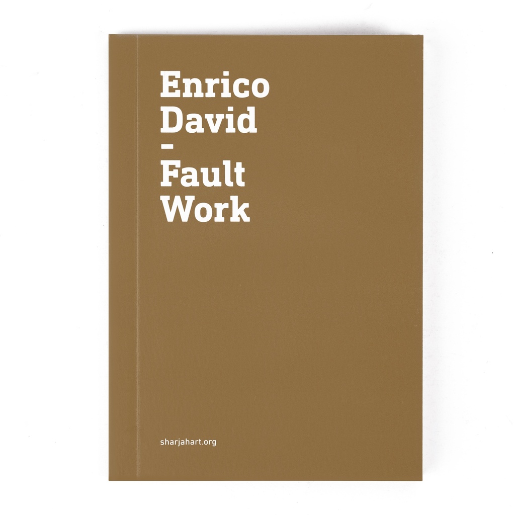 Enrico David: Fault Work