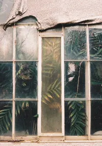 Anna Jopp - Botanical gardens 1  آنا يوب حدائق نباتية 2022 