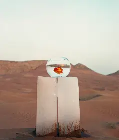 Jed Bacason - IX. TIME جيد باكاسون 9. الزمن 2018 