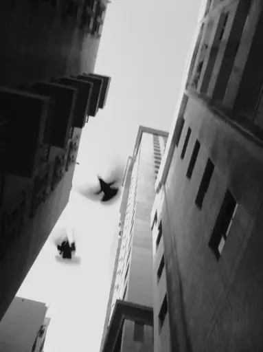 Ron John - And those on the ground can dream of   flying only if they look up رون جون ولا يستطيع من على الأرض أن يحلموا بالطيران إلا إذا نظروا إلى الأعلى 2024 