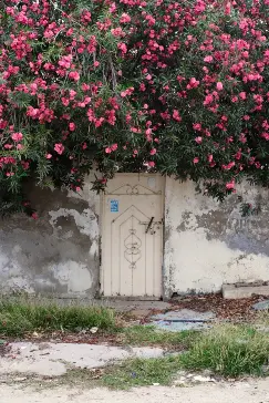 Saif Alzari - Untitled 2 سيف الزري بدون عنوان 2026 