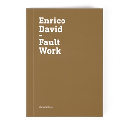 Enrico David: Fault Work