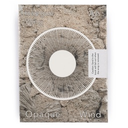 Haegue Yang: An Opaque Wind